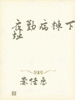 夜勤病栋下载地址