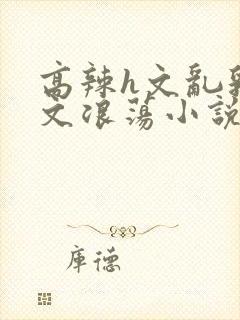 高辣h文乱乳h文浪荡小说