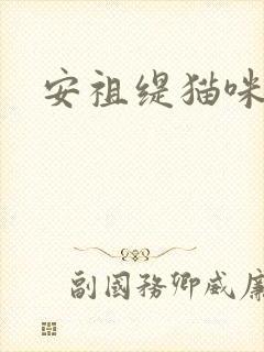 安祖缇猫咪抱抱