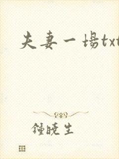 夫妻一场txt