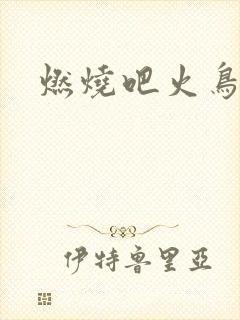 燃烧吧火鸟小说