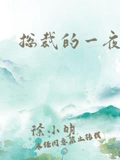 总裁的一夜情人