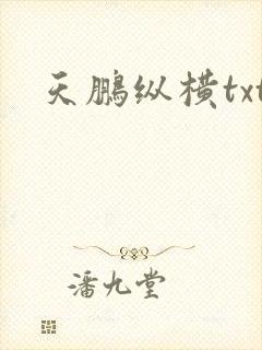 天鹏纵横txt