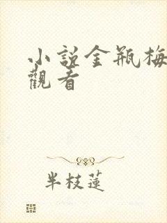 小说金瓶梅在线观看