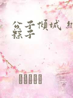 公子倾城 维和粽子