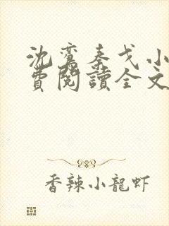 沈鸾秦戈小说免费阅读全文