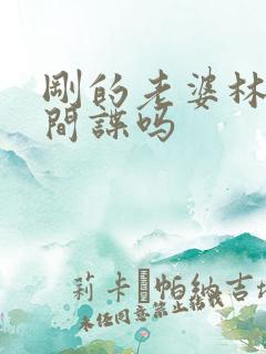 刚的老婆林彦是间谍吗