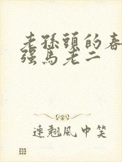 老孙头的春天马强马老二