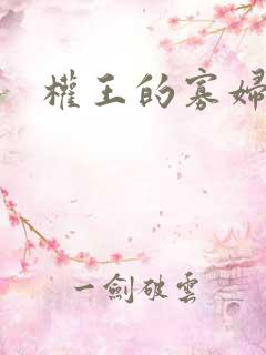 权王的寡妇糖妃