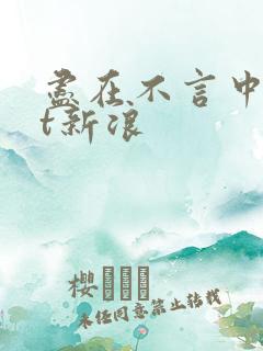 尽在不言中txt新浪