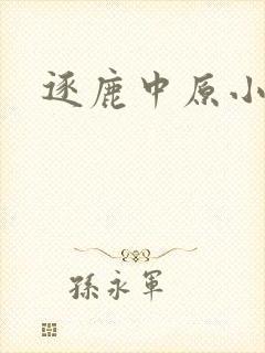逐鹿中原小说
