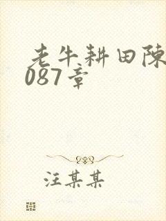 老牛耕田陈雪1087章