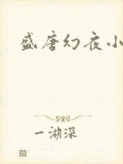 盛唐幻夜小说