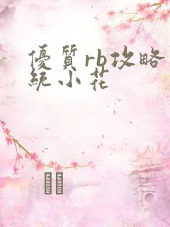 优质rb攻略系统小花