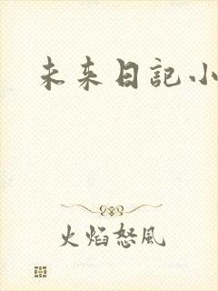 未来日记小说