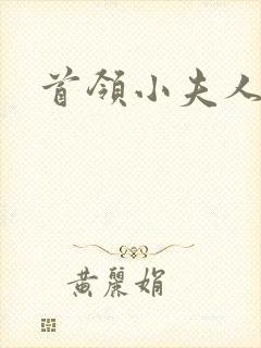 首领小夫人