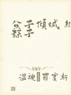 公子倾城 维和粽子