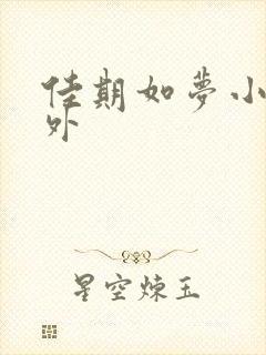 佳期如梦小说番外