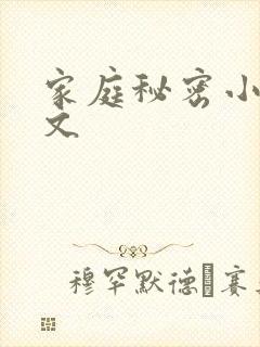 家庭秘密小说全文