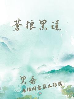 苍狼黑道