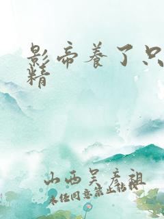 影帝养了只玫瑰精