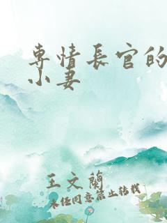 专情长官的天价小妻