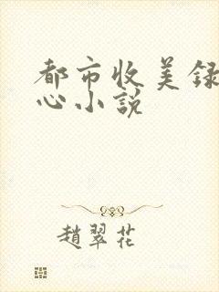 都市收美录宁素心小说