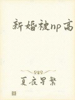 新婚被np高h