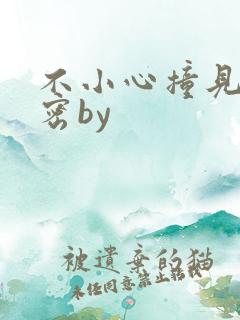 不小心撞见的秘密by