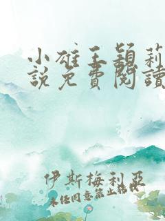 小雄王颖莉的小说免费阅读全文