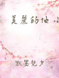 美丽的他 小说