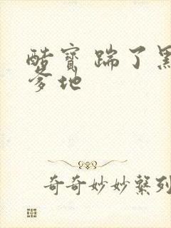 酷宝 踹了黑道爹地