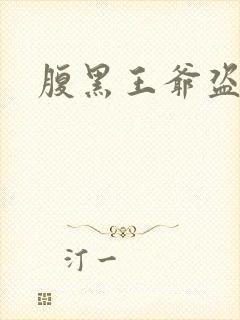 腹黑王爷盗墓妃