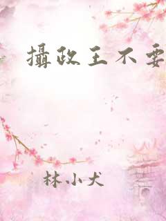 摄政王不要