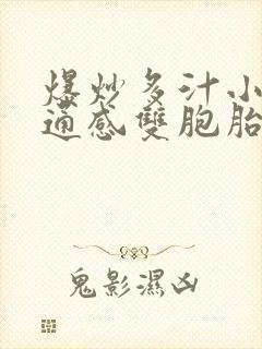 爆炒多汁小美人通感双胞胎