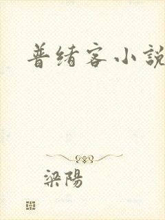 普绪客小说