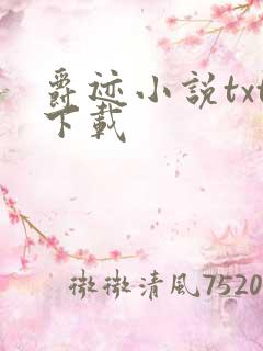 爵迹小说txt下载