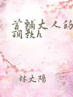 首辅大人的花式调教h