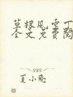 草根风云丁长生全文免费阅读