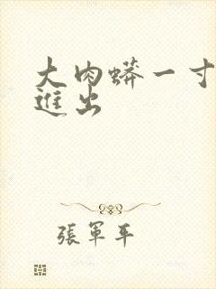 大肉蟒一寸一寸进出