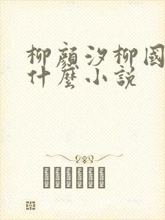 柳颜汐柳国安是什么小说