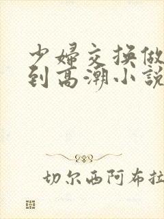 少妇交换做爰做到高潮小说