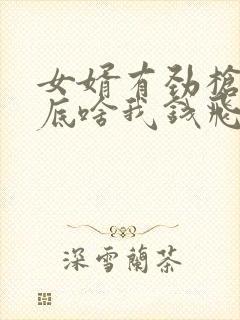 女婿有劲枪枪到底啥我钱飞了