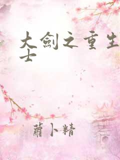 大剑之重生圣骑士