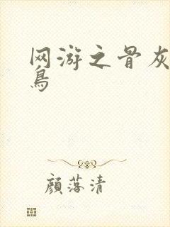 网游之骨灰级菜鸟