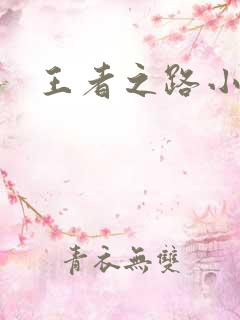 王者之路小说
