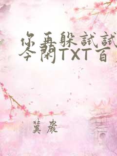 你再躲试试BY今闲TXT百度网盘