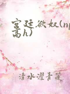 宫廷欲奴(np高h)