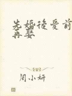 先婚后爱前妻难再娶