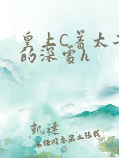皇上C着太子妃的深处h